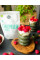 Хлорела (порошок) 1/200 грамм Bio Chlorella in Powder